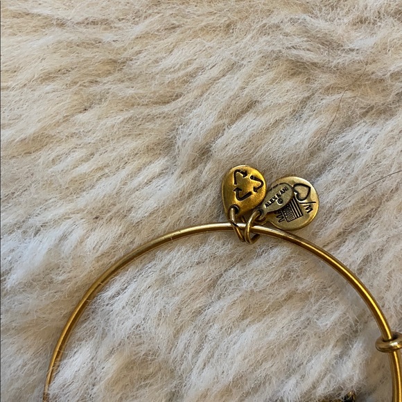 Alex & Ani Mint Julep Bracelet - Picture 5 of 5